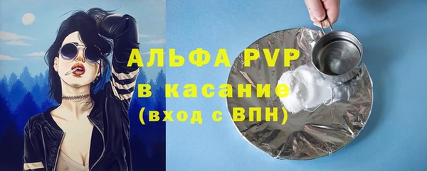 прущие грибы Новокубанск