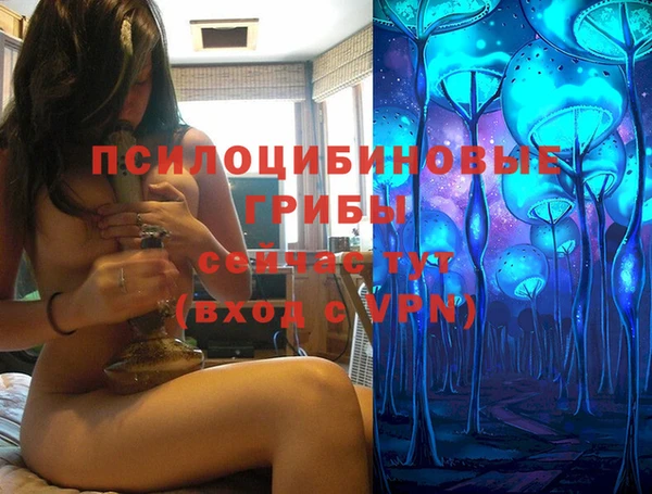 прущие грибы Новокубанск
