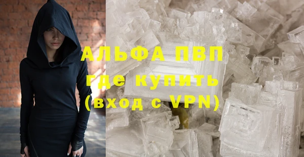 прущие грибы Новокубанск