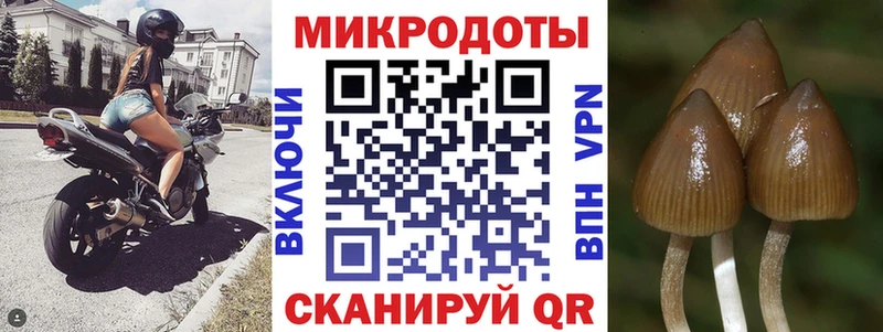 Псилоцибиновые грибы MAGIC MUSHROOMS  ОМГ ОМГ рабочий сайт  Кисловодск 